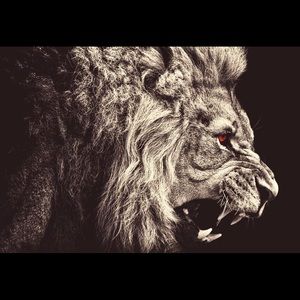 Meet your Posher, Joaquin